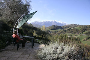 On the patio