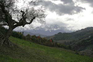 Oncoming storm